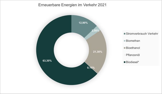 erneuerbare Energien im Verkehr 2021
