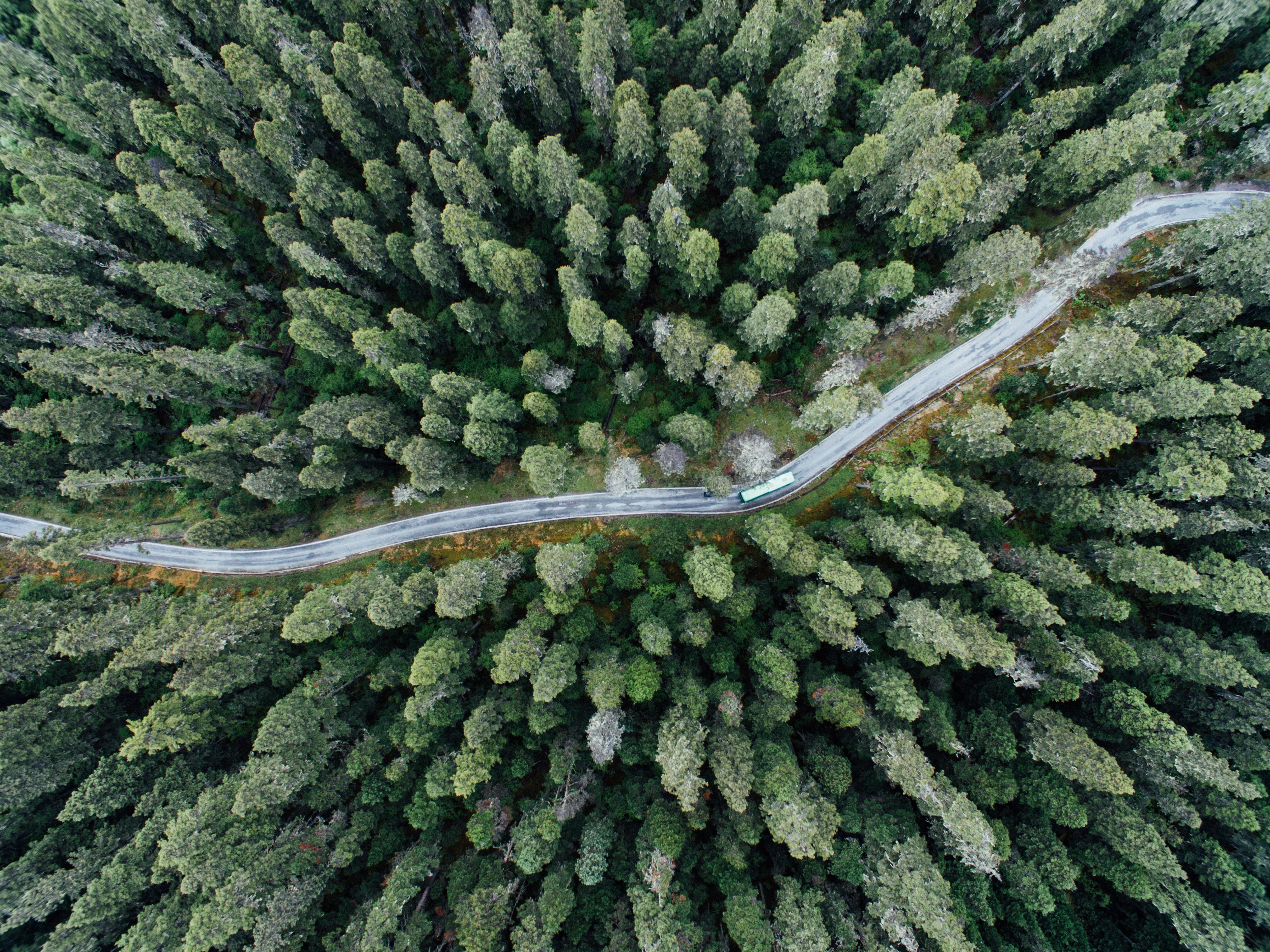 Nachhaltige, grüne Logistik ist Herausforderung und Chance zugleich 